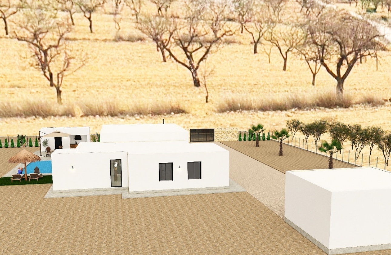 Obra nueva - Detached - Pinoso