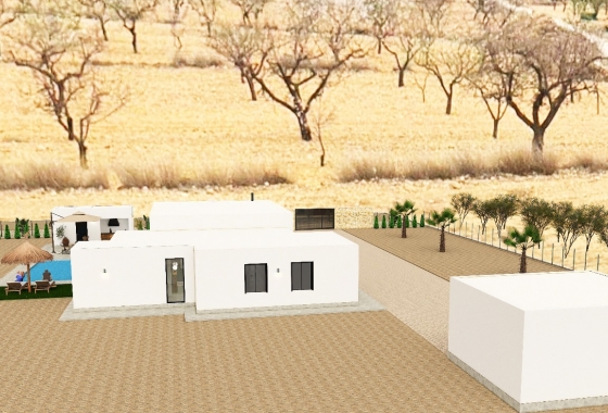Obra nueva - Detached - Pinoso