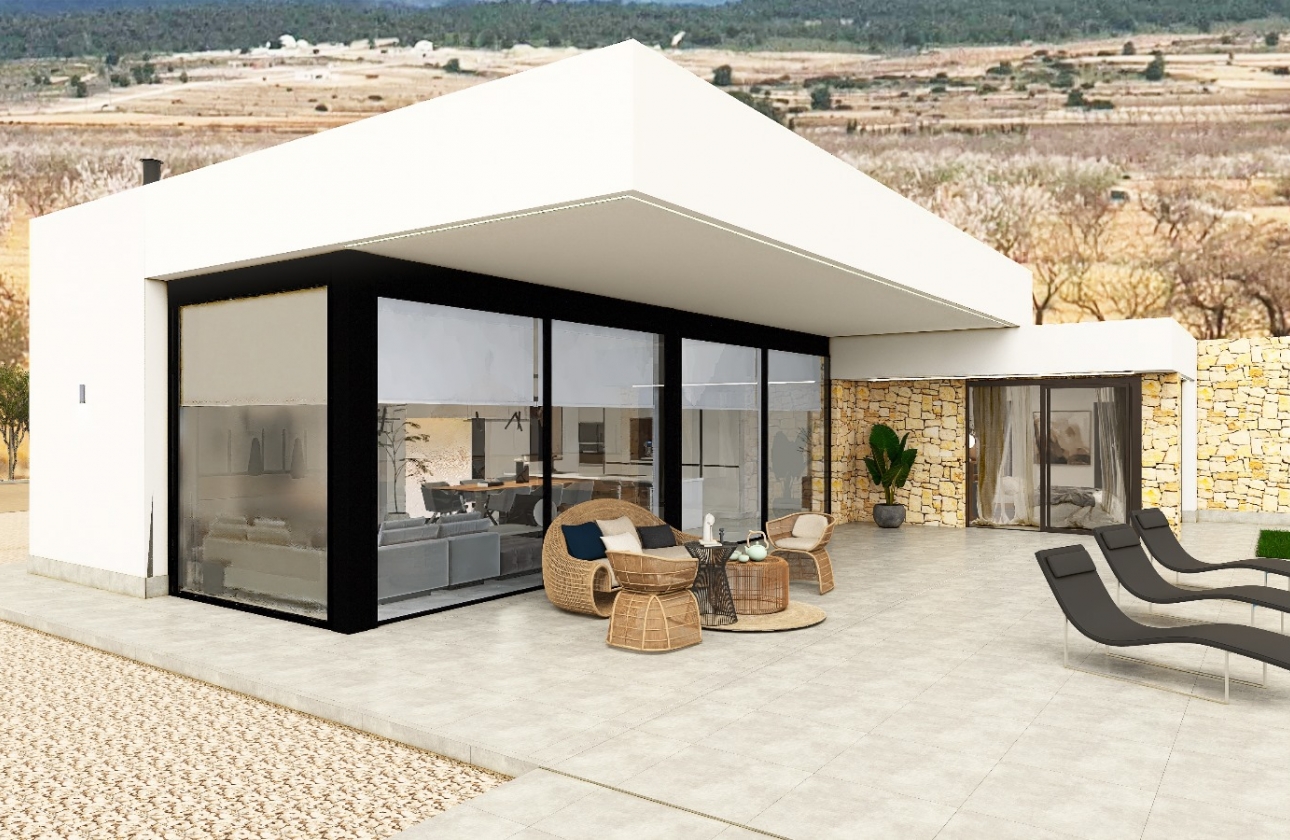 Obra nueva - Detached - Pinoso