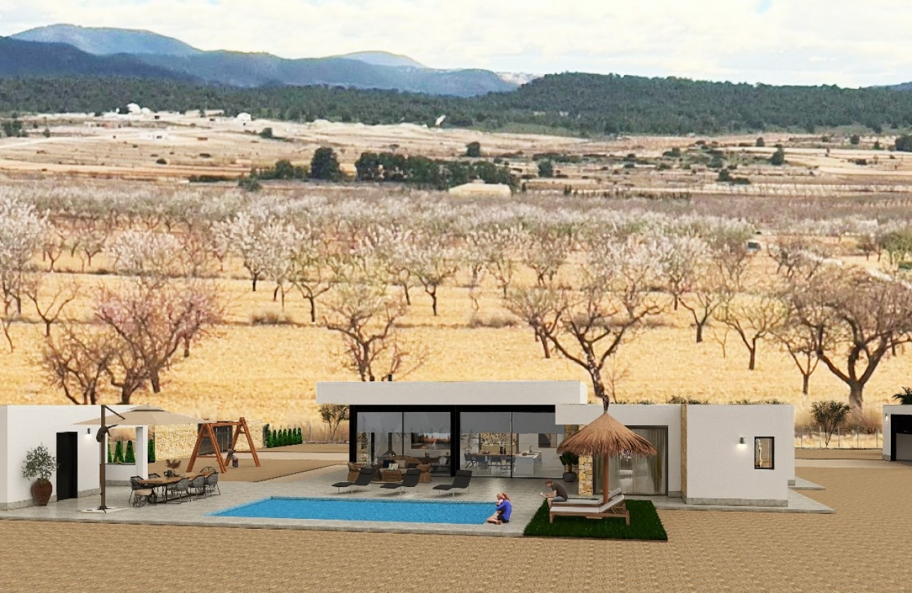Obra nueva - Detached - Pinoso
