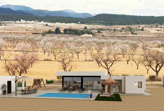 Obra nueva - Detached - Pinoso