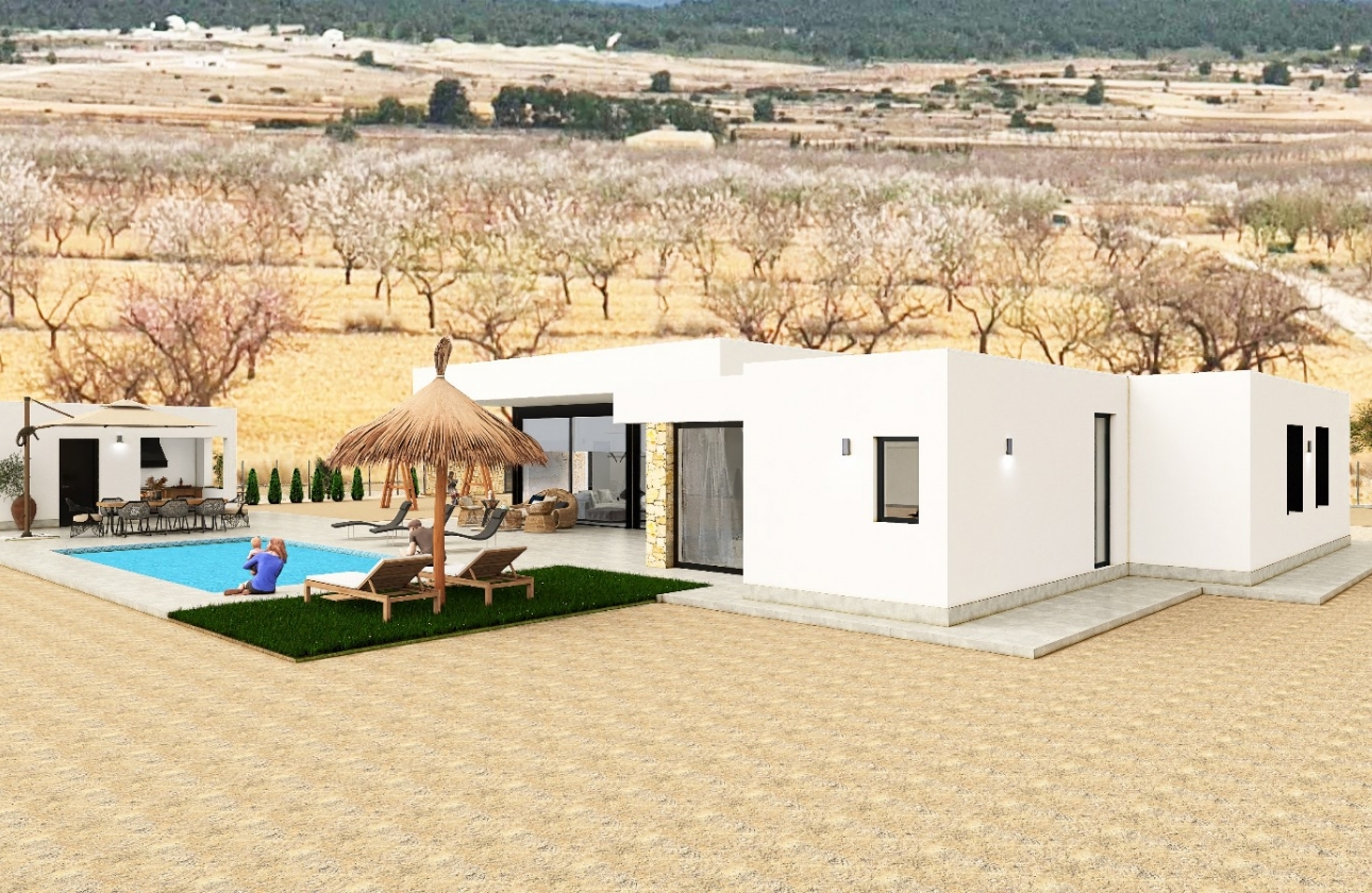 Obra nueva - Detached - Pinoso