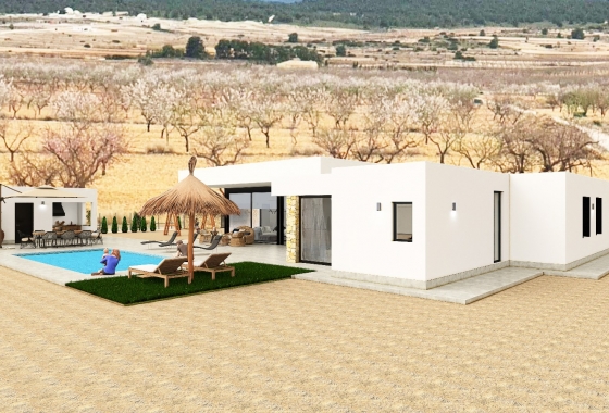 Obra nueva - Detached - Pinoso