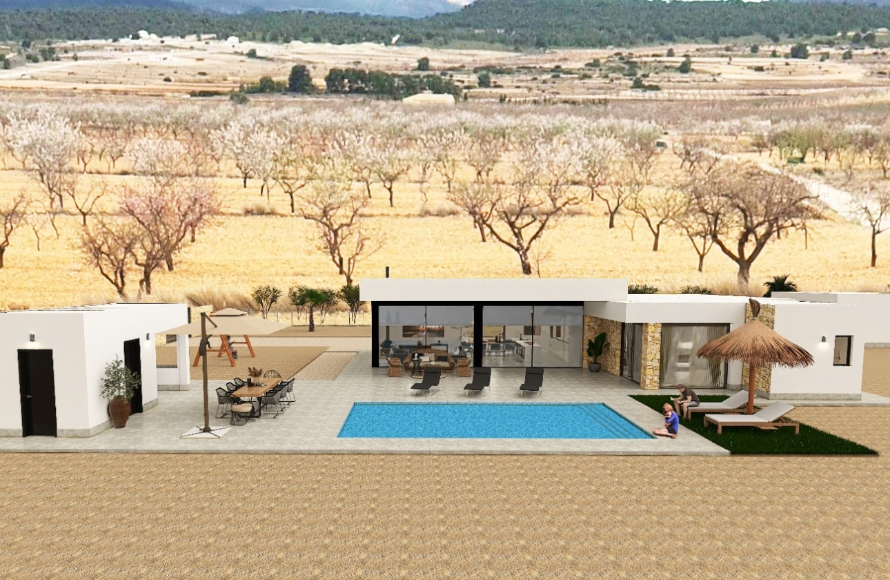Obra nueva - Detached - Pinoso