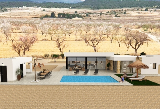 Obra nueva - Detached - Pinoso
