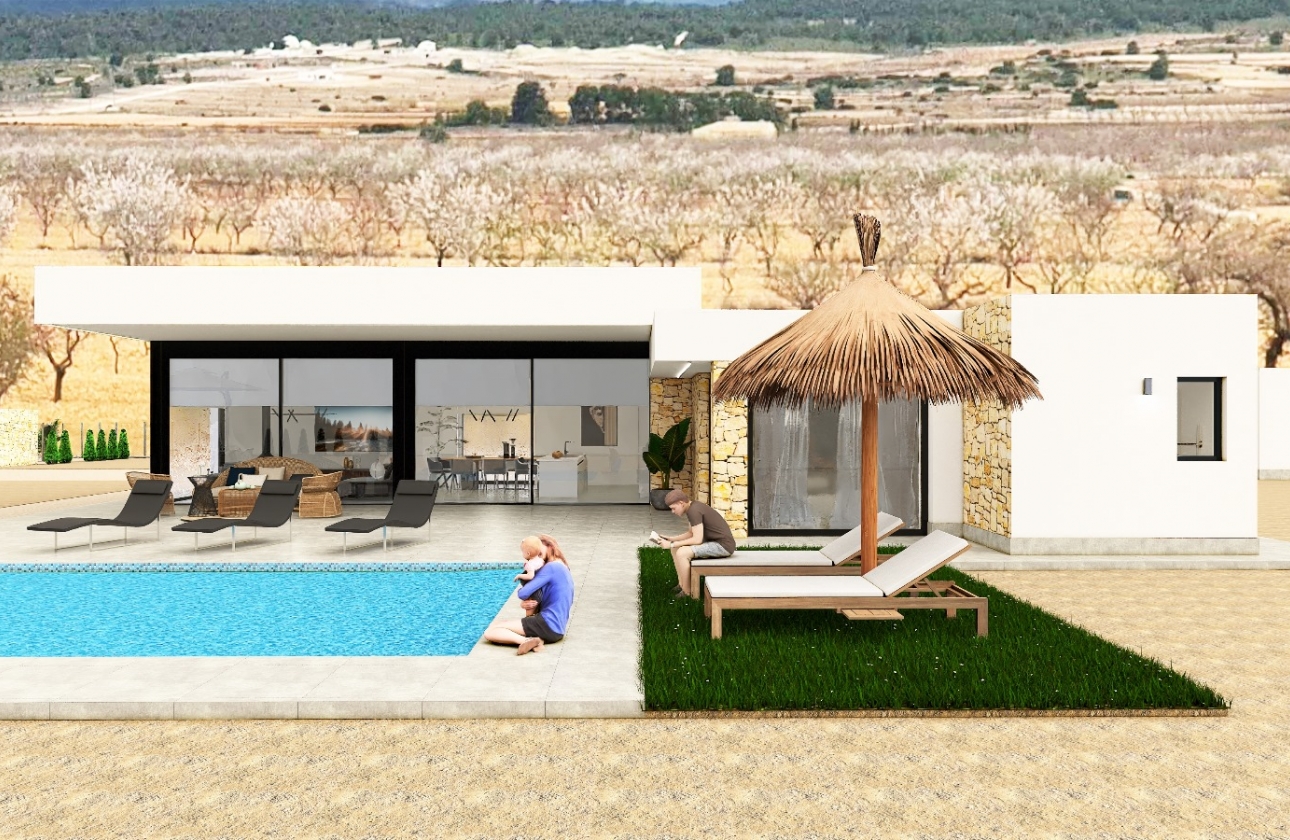 Obra nueva - Detached - Pinoso