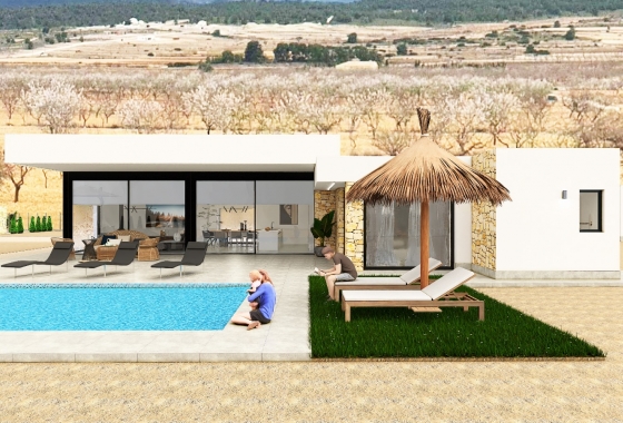 Obra nueva - Detached - Pinoso