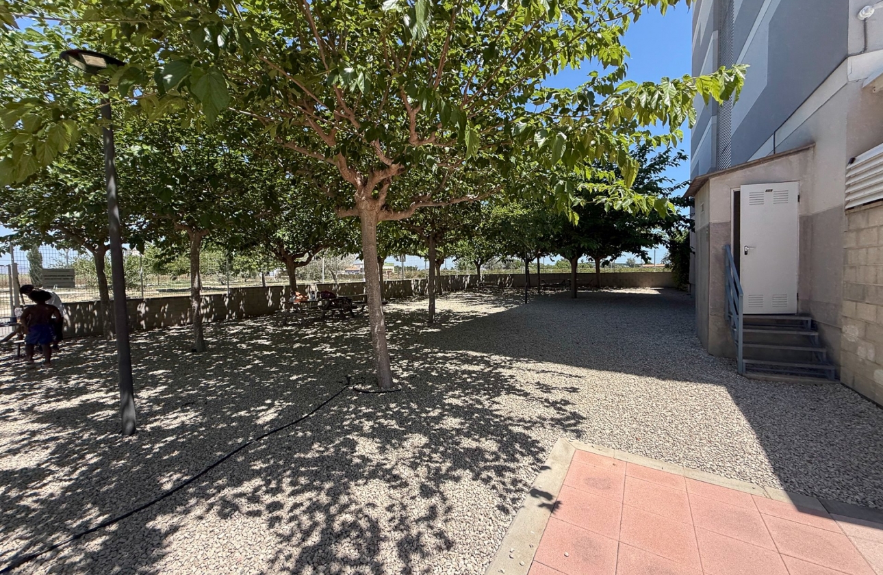 Reventa - Apartment - Dolores - Avenida de la Mujer, 1
