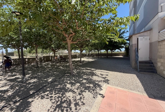 Reventa - Apartment - Dolores - Avenida de la Mujer, 1