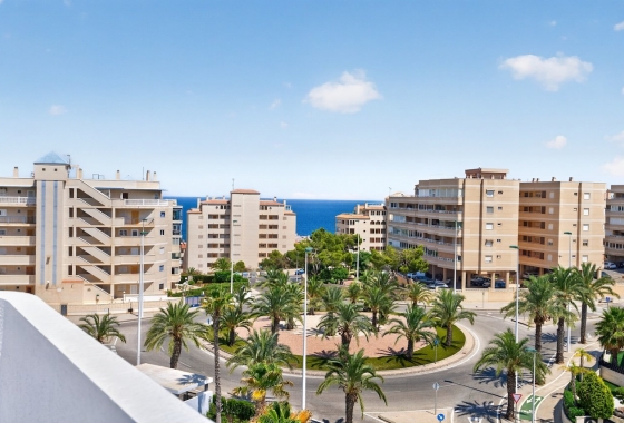 Reventa - Ático - Arenals del Sol - Carrer Bahia, 73