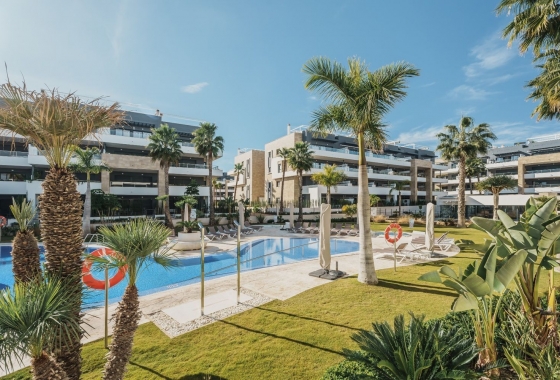 Resale - Penthouse - Orihuela Costa