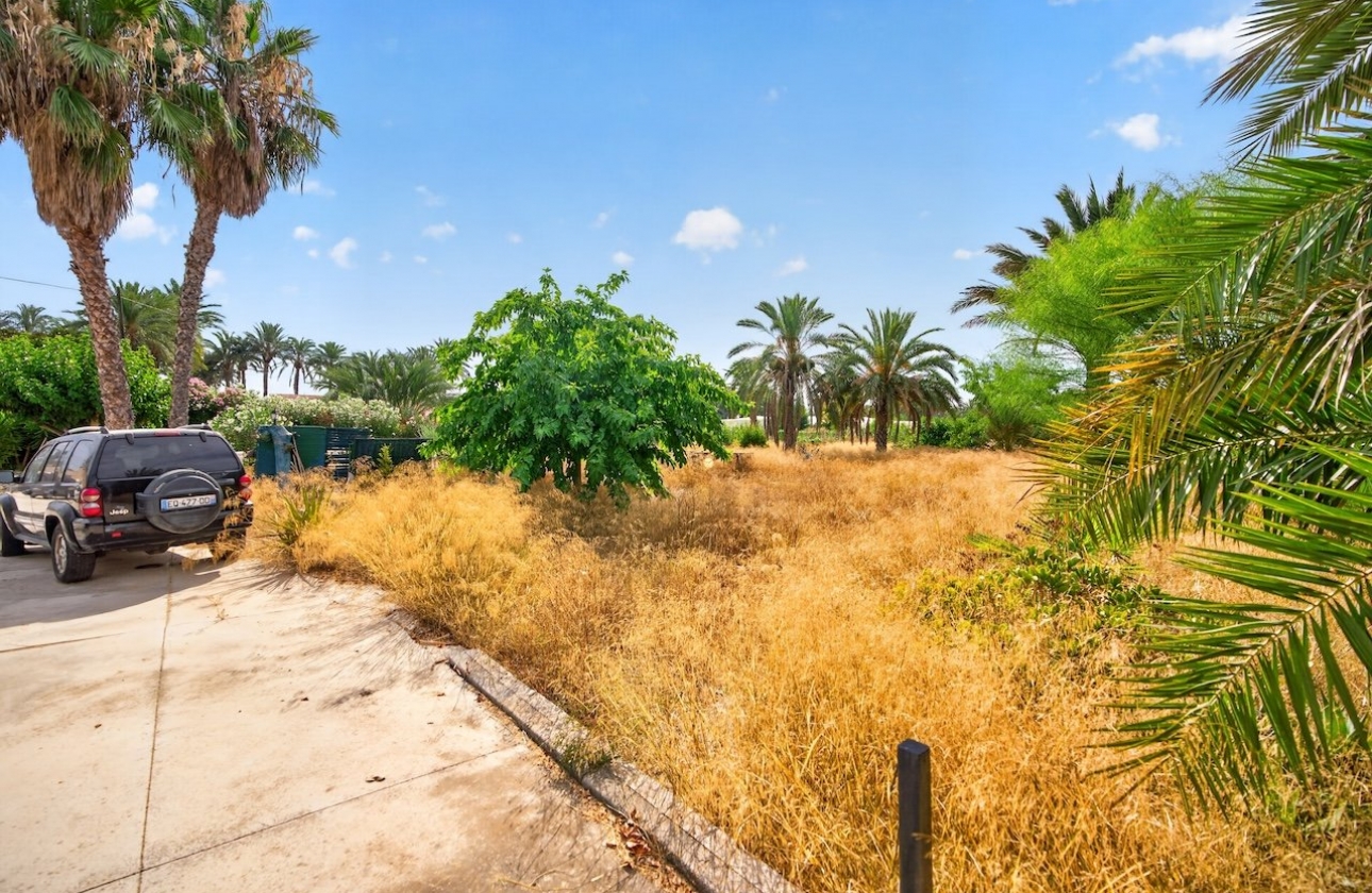 Reventa - Villa - Elche - Paraje La Hoya nº 3028 (Polígono 71 Parcela 25)