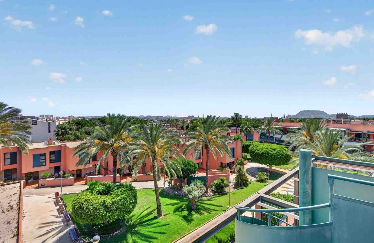 Reventa - Ático - Alicante - Carrer Juana Francés, 2