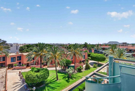 Reventa - Ático - Alicante - Carrer Juana Francés, 2