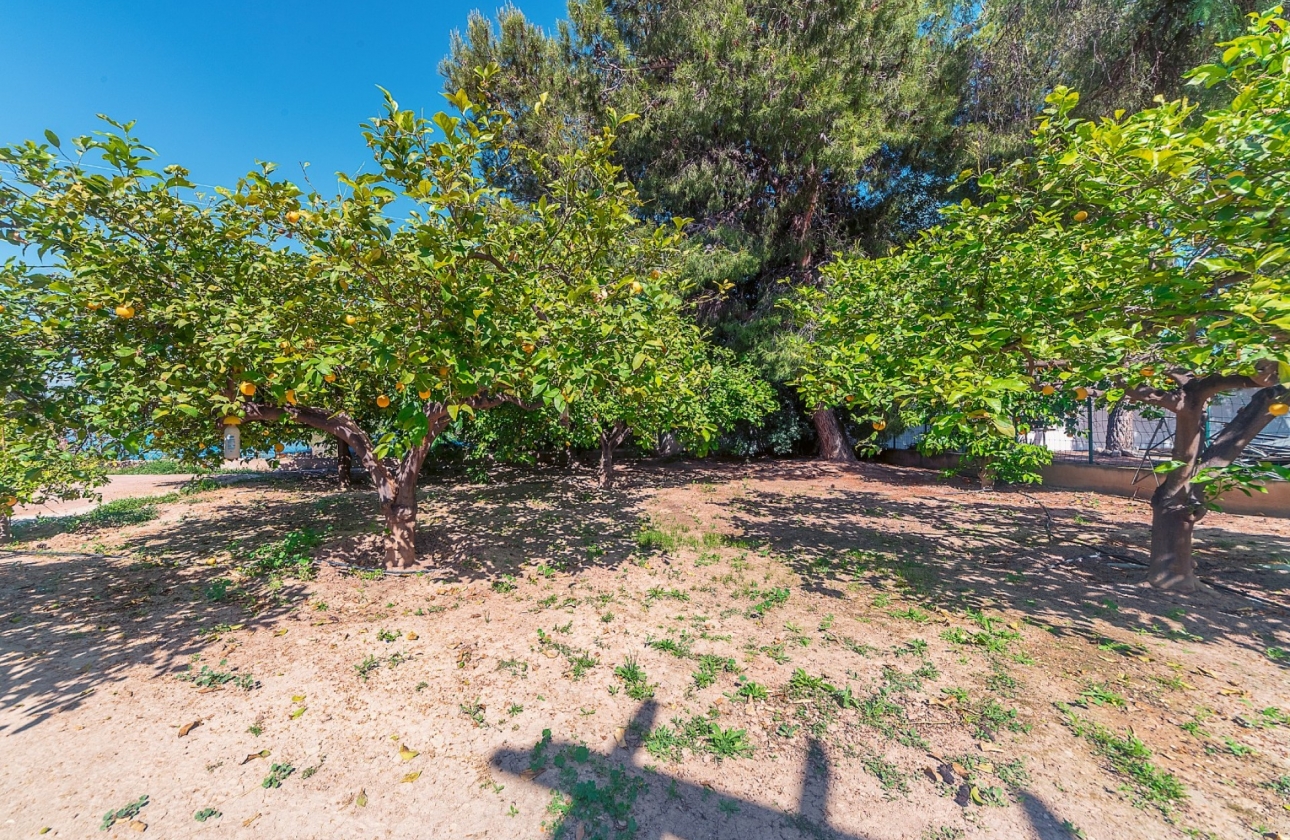 Resale - Villa - San Vicente del Raspeig