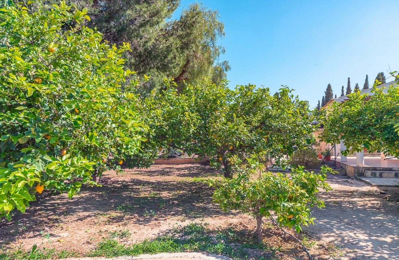 Resale - Villa - San Vicente del Raspeig