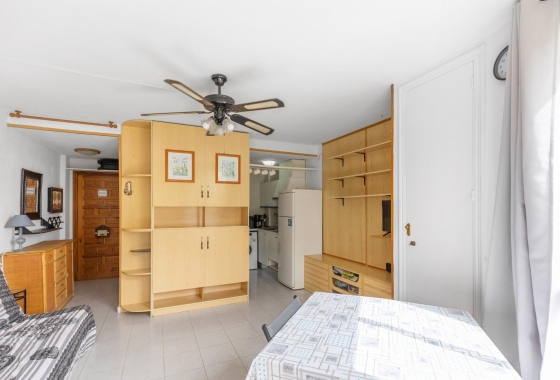 Reventa - Estudio - Torrevieja - Torreblanca