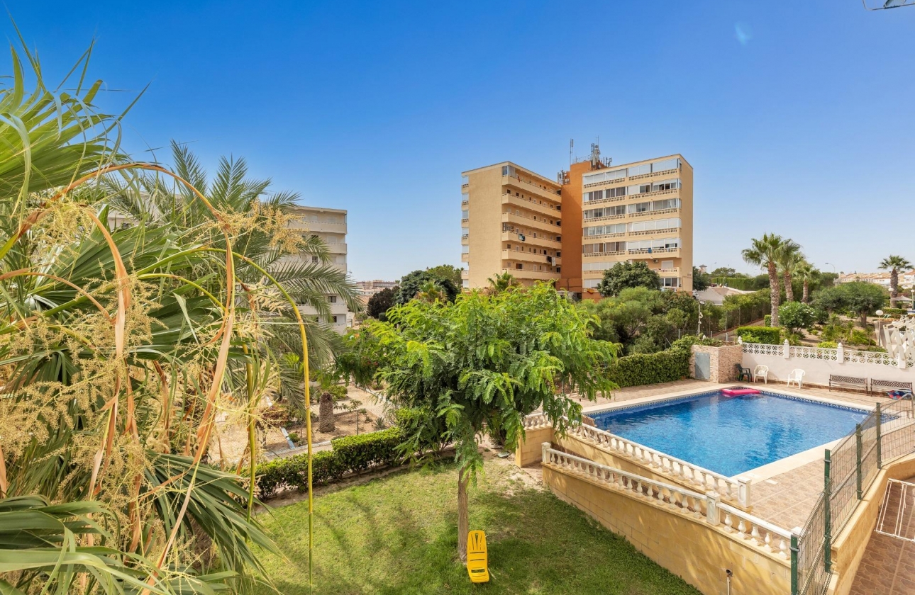 Reventa - Estudio - Torrevieja - Torreblanca