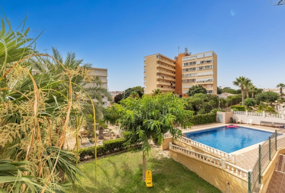 Reventa - Estudio - Torrevieja - Torreblanca