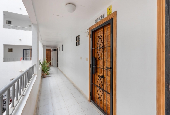 Reventa - Estudio - Torrevieja - Torreblanca