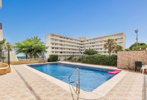 Reventa - Estudio - Torrevieja - Torreblanca