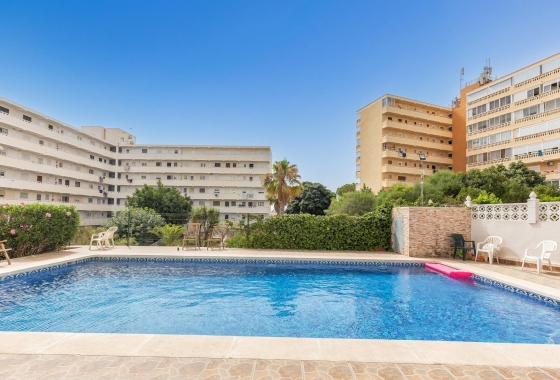 Reventa - Estudio - Torrevieja - Torreblanca