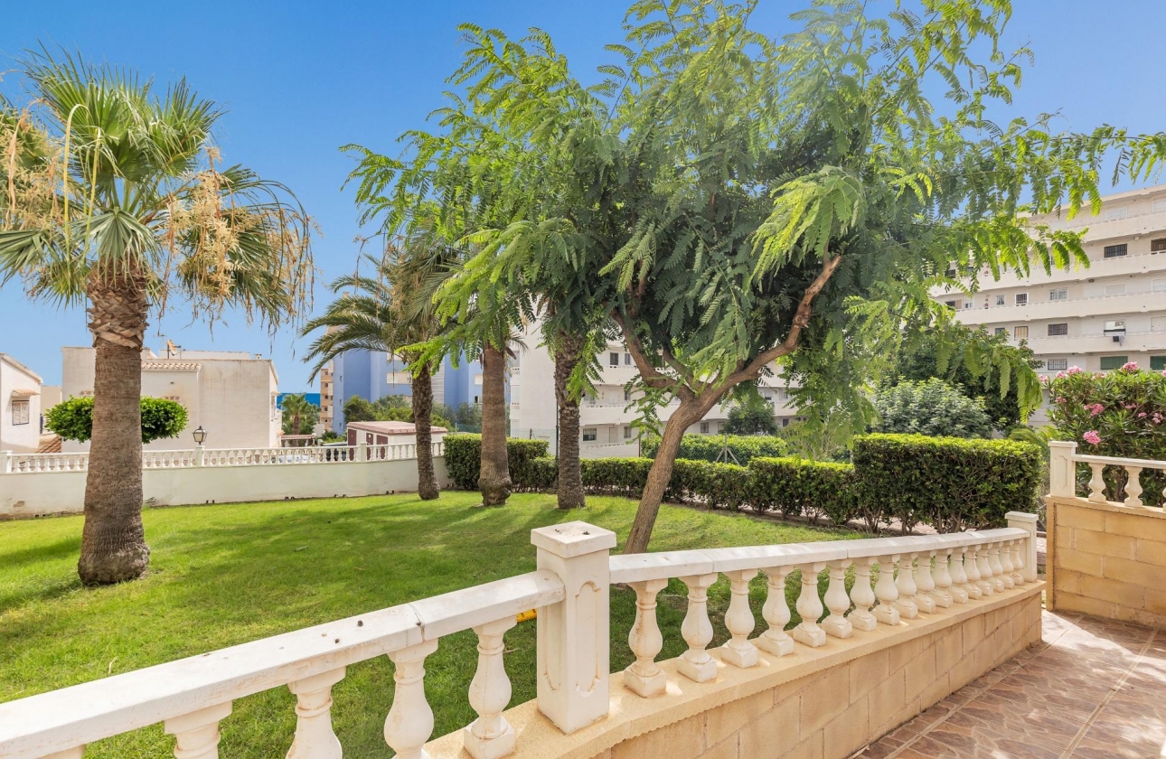 Reventa - Estudio - Torrevieja - Torreblanca