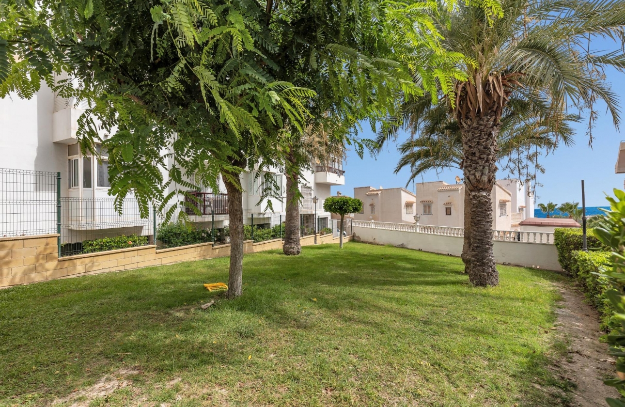 Reventa - Estudio - Torrevieja - Torreblanca