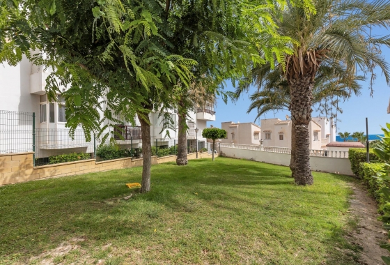 Reventa - Estudio - Torrevieja - Torreblanca