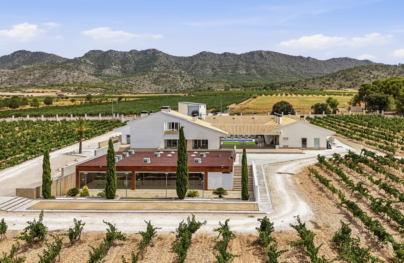 Resale - Villa - Yecla