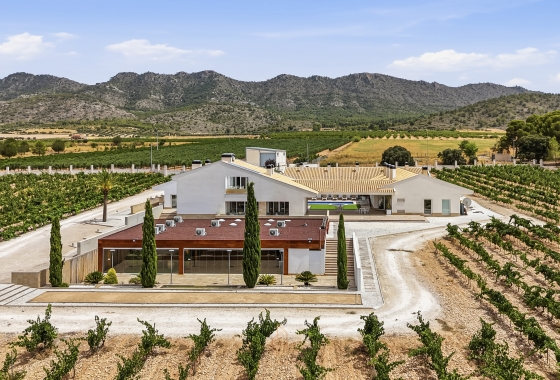 Resale - Villa - Yecla