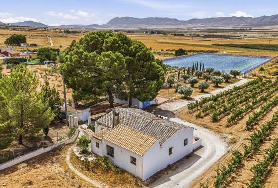Resale - Villa - Yecla