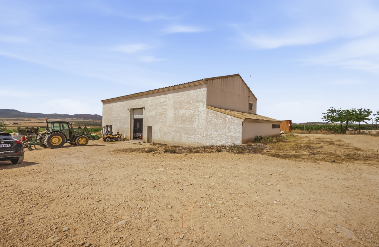 Resale - Villa - Yecla