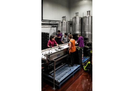 Resale - Villa - Yecla