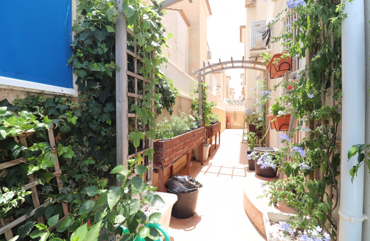 Rynek wtórny - Villa - Algorfa - Montebello