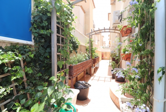 Rynek wtórny - Villa - Algorfa - Montebello