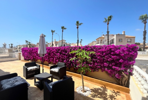 Reventa - Quad - Orihuela Costa - Jumilla