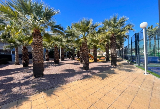Reventa - Apartment - Orihuela Costa - Aguamarina