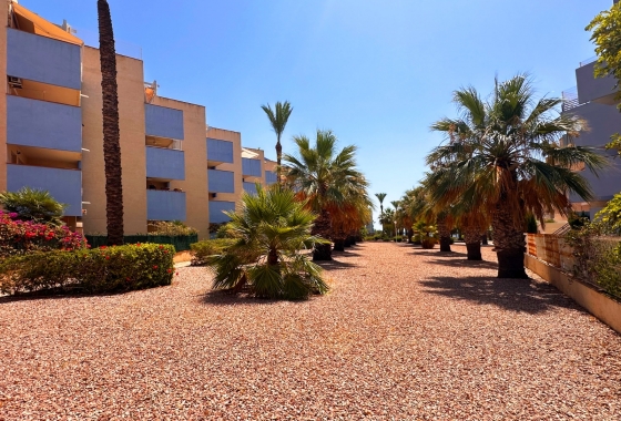 Reventa - Apartment - Orihuela Costa - Aguamarina