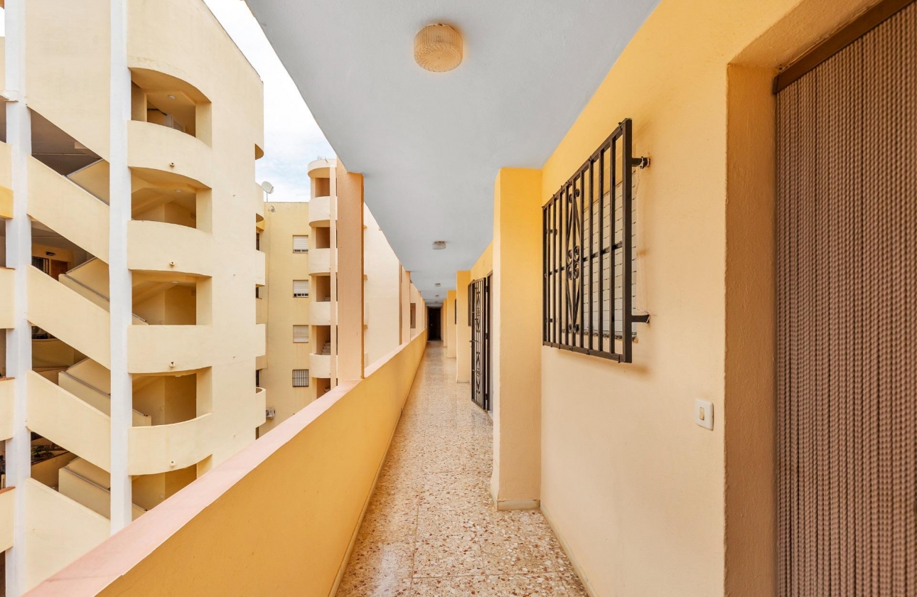 Reventa - Apartment - Guardamar del Segura - CENTRO