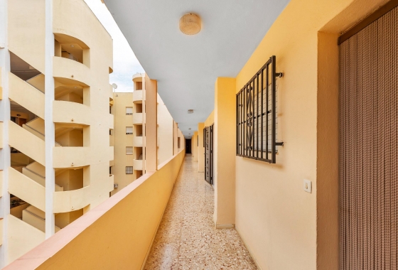 Reventa - Apartment - Guardamar del Segura - CENTRO