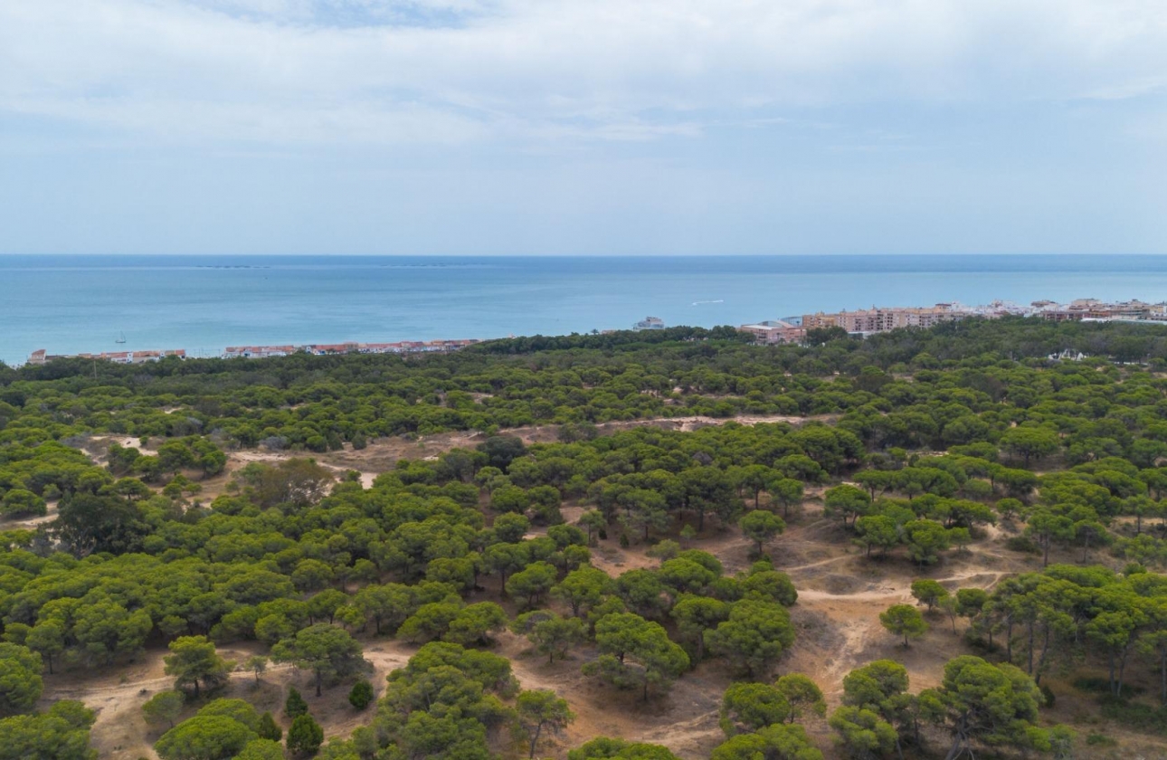 Reventa - Apartment - Guardamar del Segura - CENTRO