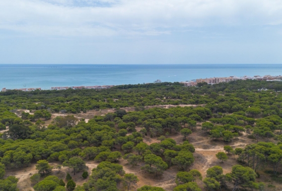 Reventa - Apartment - Guardamar del Segura - CENTRO