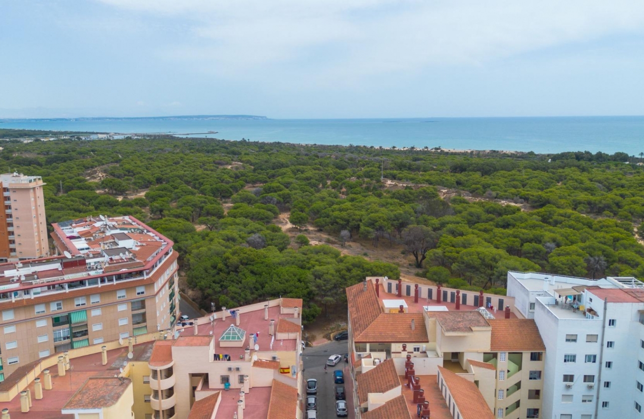 Reventa - Apartment - Guardamar del Segura - CENTRO