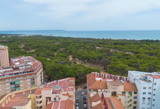Reventa - Apartment - Guardamar del Segura - CENTRO