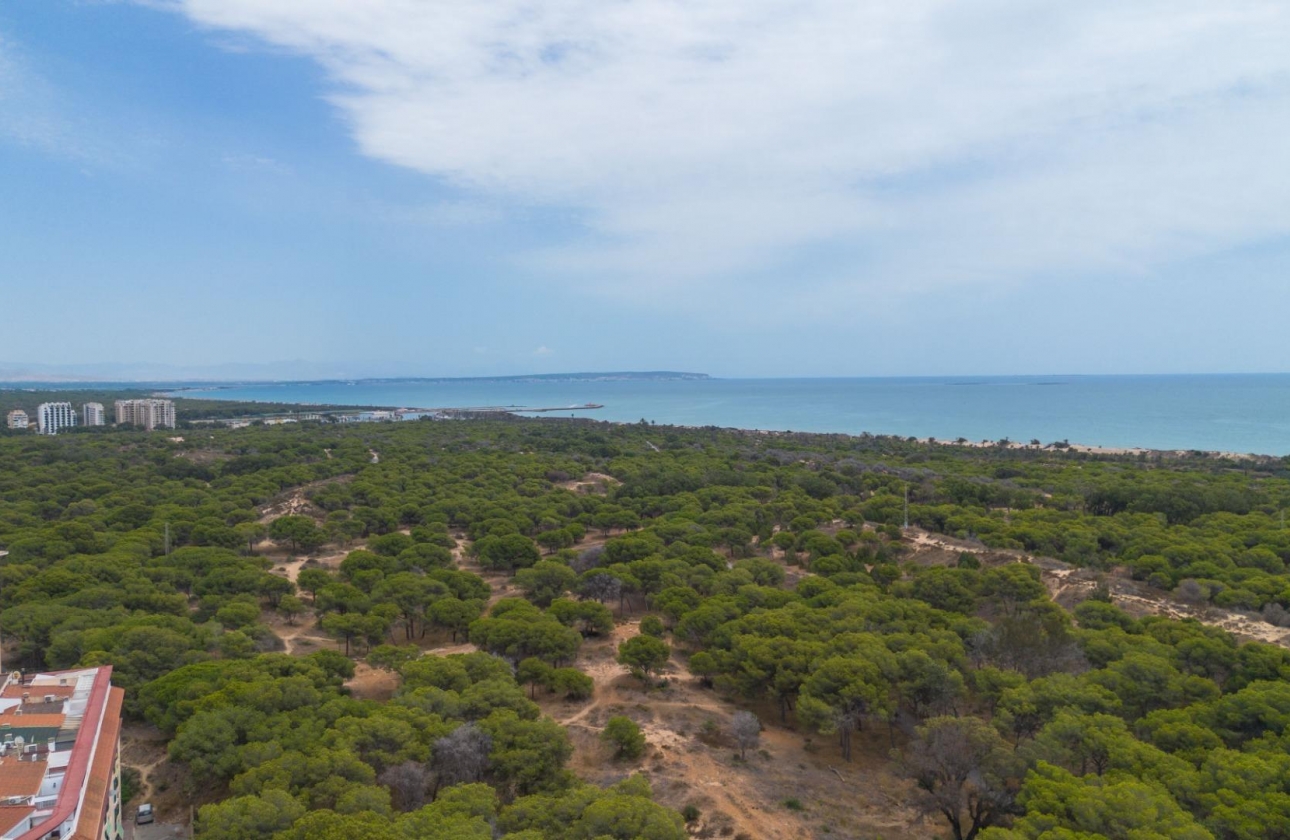 Reventa - Apartment - Guardamar del Segura - CENTRO