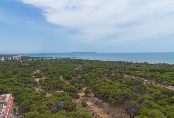 Reventa - Apartment - Guardamar del Segura - CENTRO