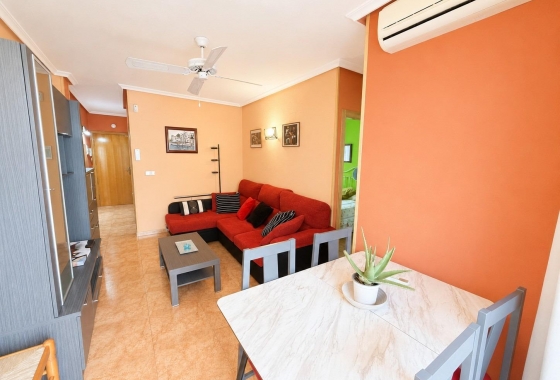 Reventa - Apartment - Torrevieja - Estacion de autobuses
