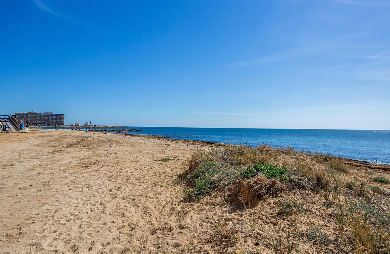 Reventa - Apartment - Torrevieja - Estacion de autobuses