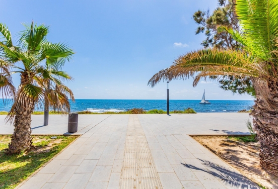 Reventa - Apartment - Torrevieja - Estacion de autobuses